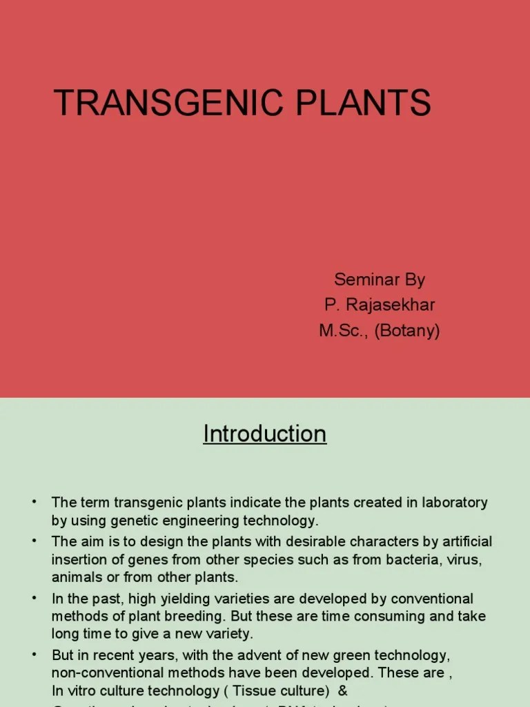 Transgenic Plants Modified Organism Engineering