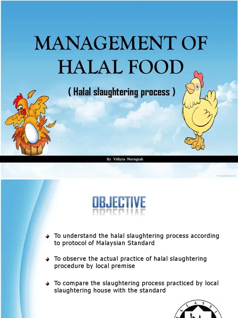 Halal Slaughtering Process PDF Animal Slaughter Islamic Ethics
