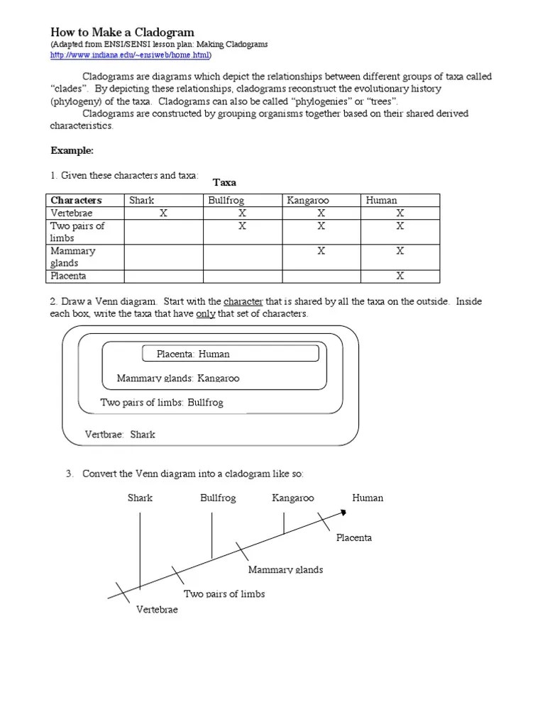 Cladogram Taxon Biological Classification
