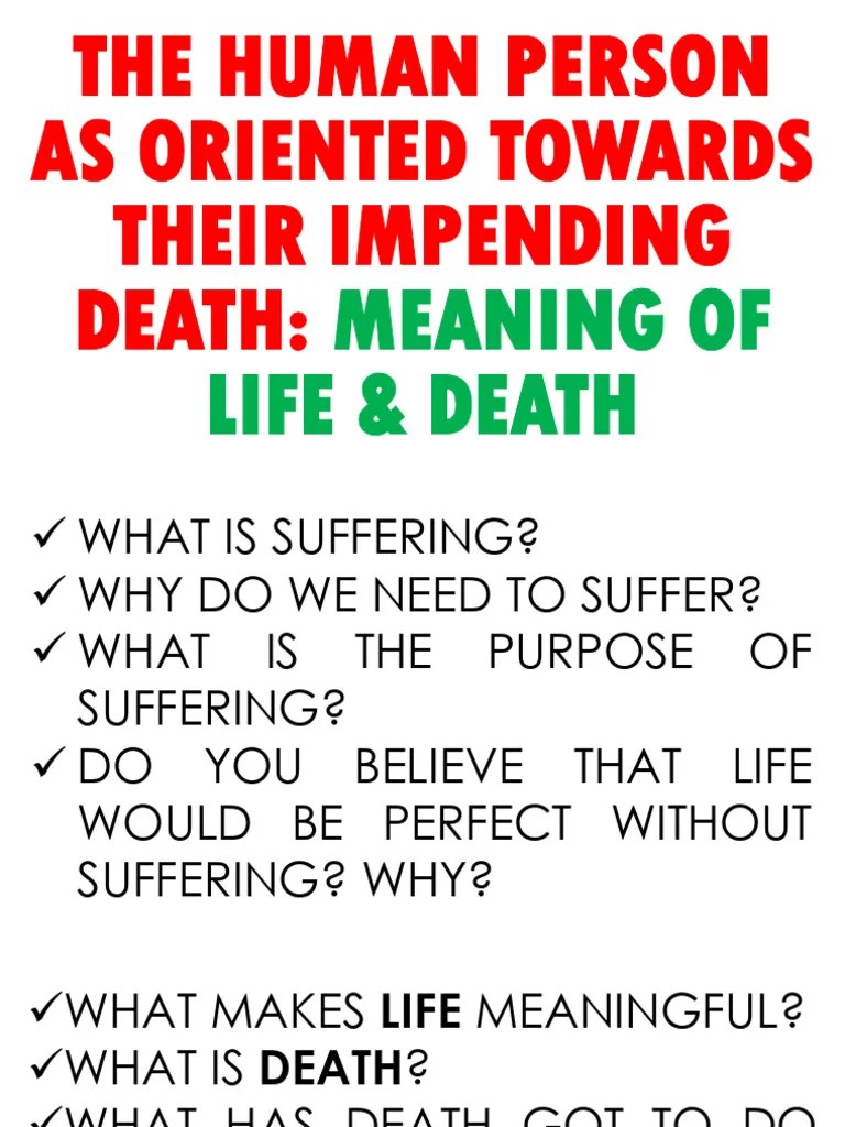 Exploring Lifes Meaning And Death Pdf Meaning Of Life Metaphysics