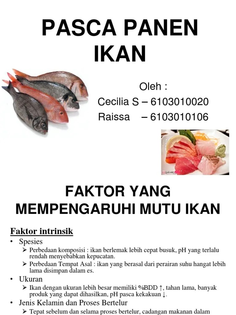 PASCA PANEN IKAN