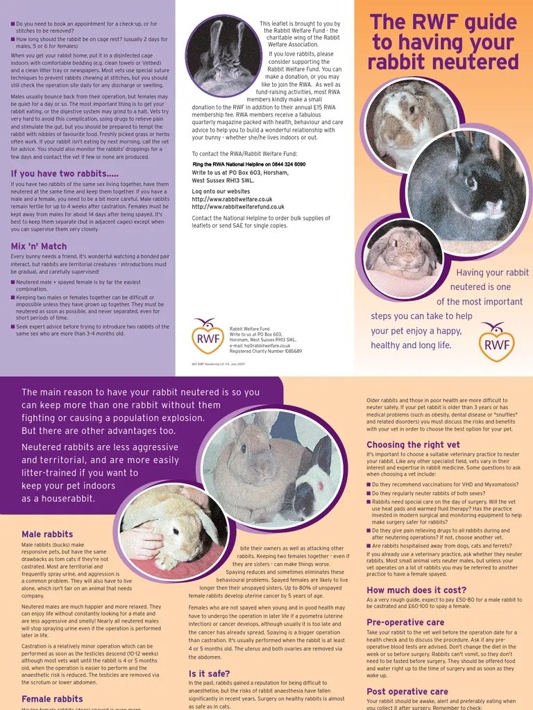 The RWAF guide to neutering your rabbit Neutering Health Care