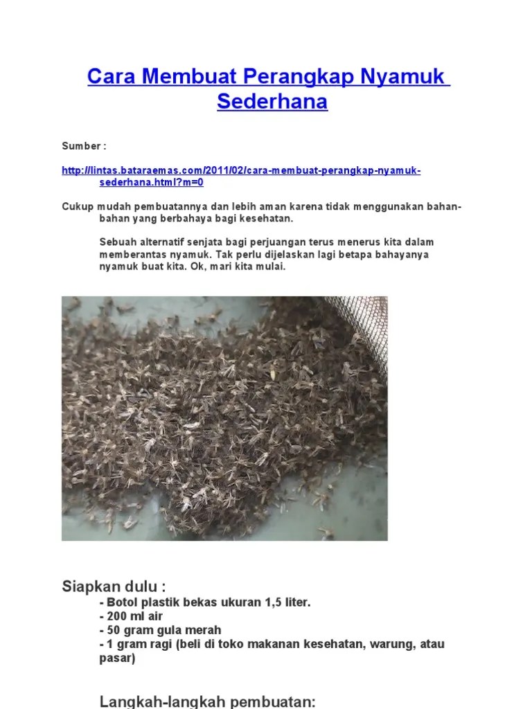 Teks Cara Membuat Perangkap Nyamuk Sederhana Berbagai