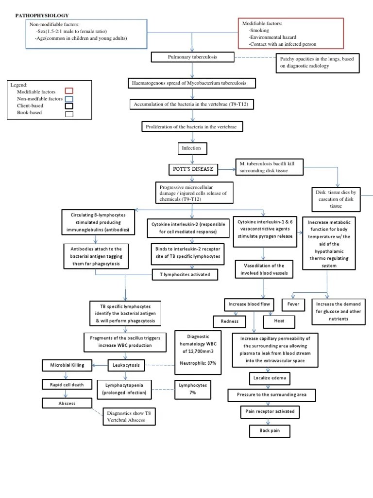 Pathophysiology of POTT's Disease PDF