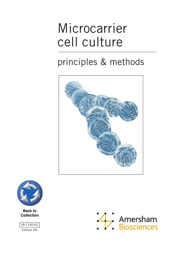 Micro Carrier Cell Culture Principles and Methods Cell Culture Virus