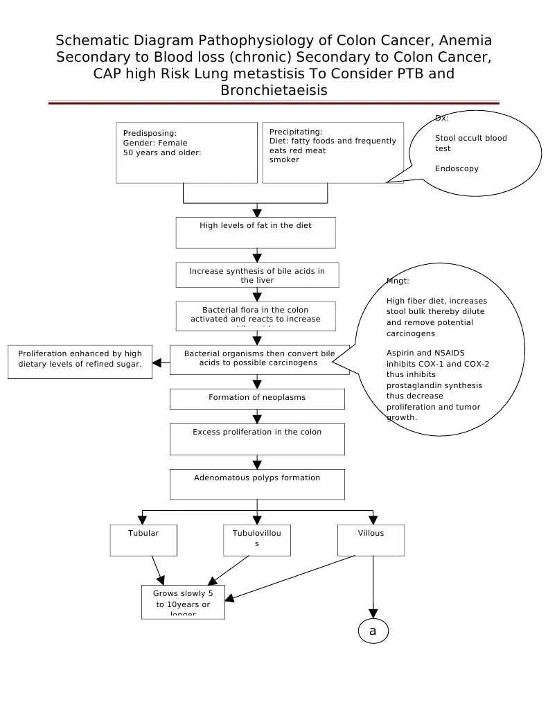 Diagram of Pathophysiology Cancer | Colorectal Cancer | Large Intestine