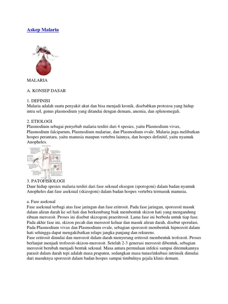 Askep Malaria