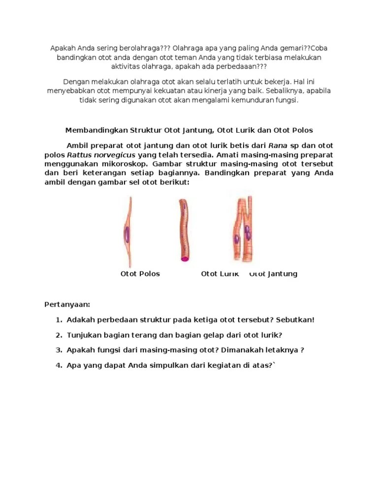 Tuliskan Perbedaan Antara Jaringan Otot Polos Dan Otot Lurik - Terkait  Perbedaan