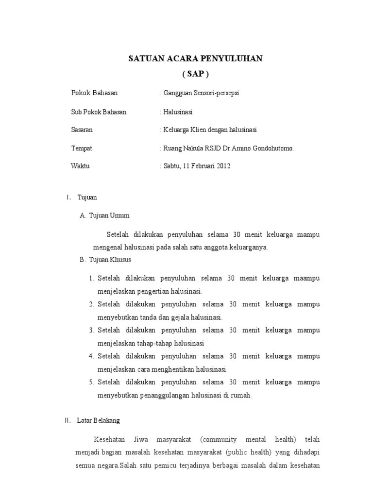Satuan Acara Penyuluhan Halusinasi | PDF