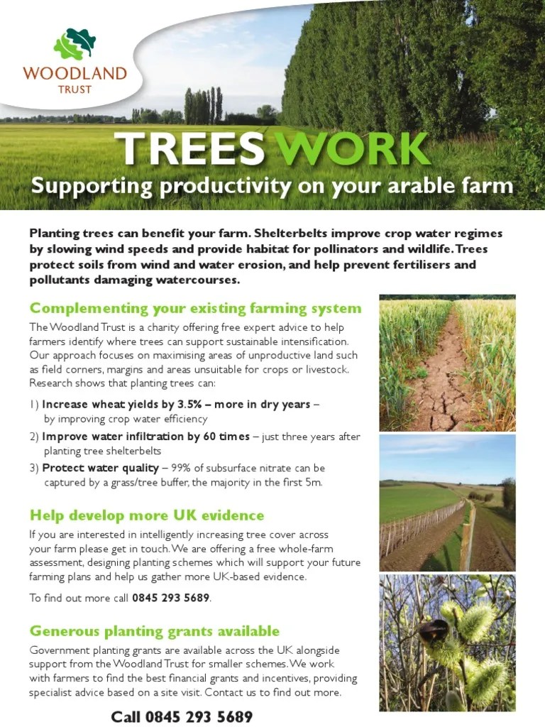 Arable farming flyer Trees Agriculture