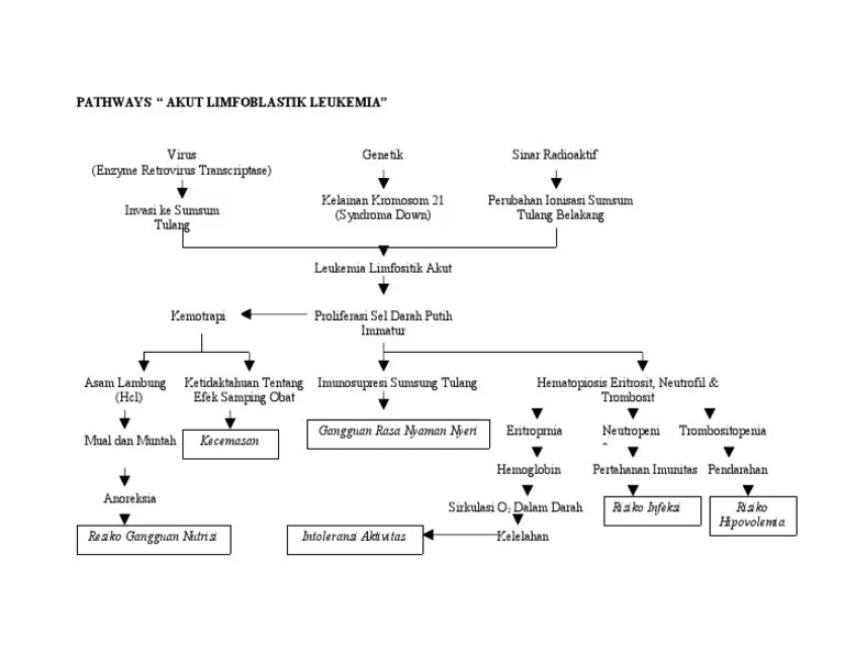 Pathway Acute Limfoblastik Leukemia