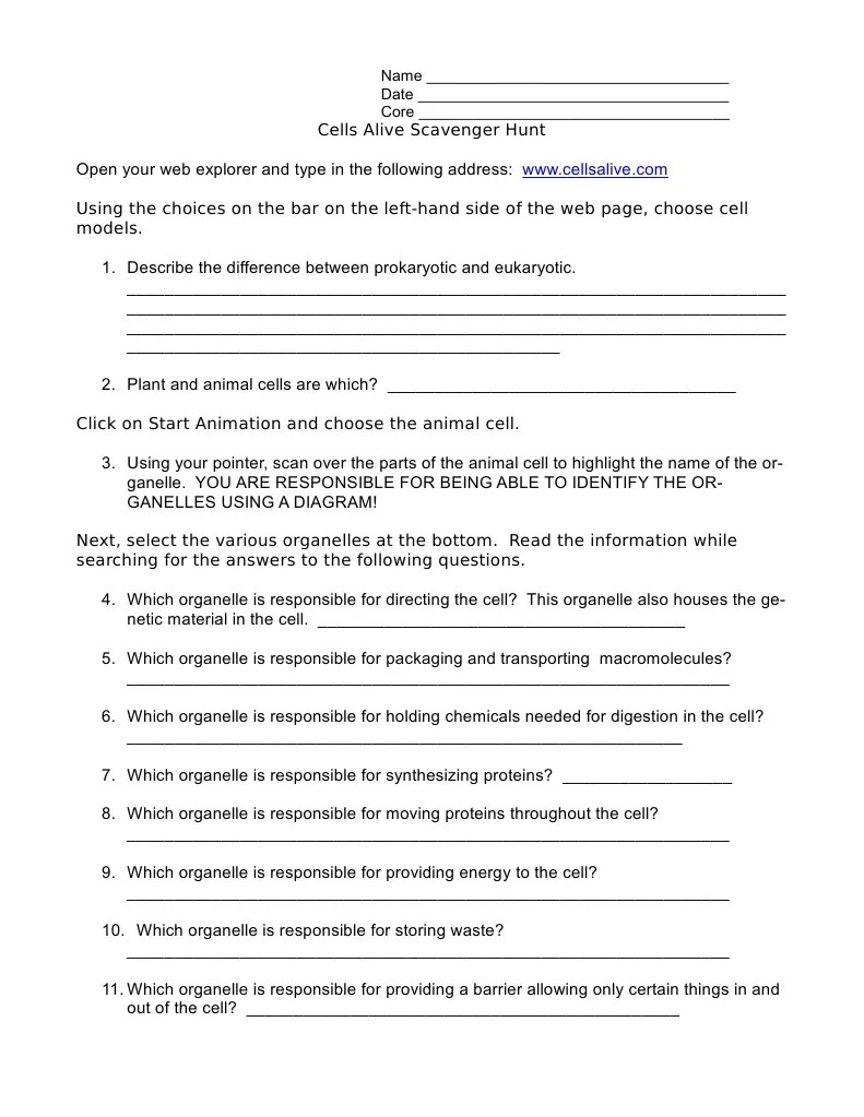 Dna is replicated during which phase of the cell cyle? worksheet. Cells Alive Worksheet Answers. Grass Fedjp ...