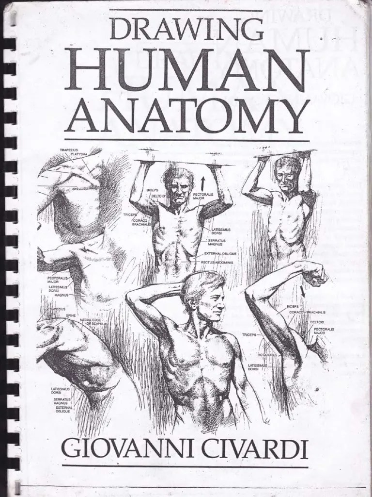 Drawing Human Anatomy by Giovanni Civardi PDF Biology