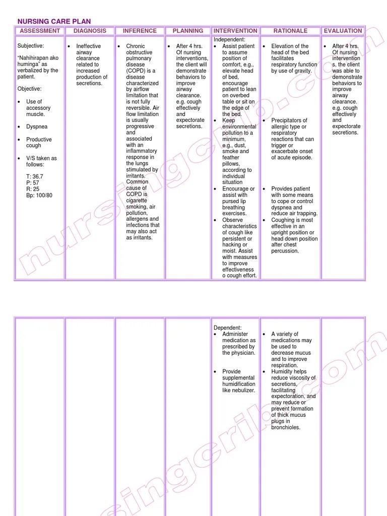 Nursing Care Plan Chronic Obstructive Pulmonary Disease