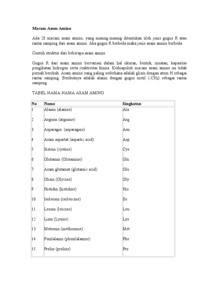 Jenis Asam Amino Di Dalam Dna Ditentukan Oleh DNA Informasi