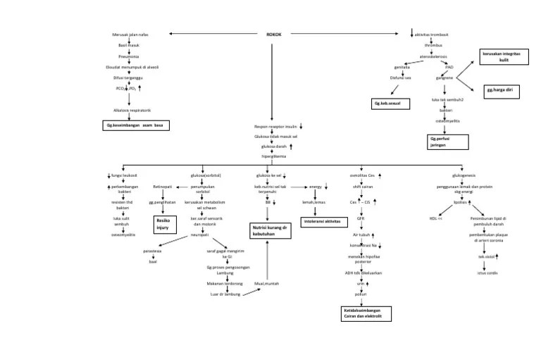 patofisiologi/pathway diabetes mellitus tipe 2