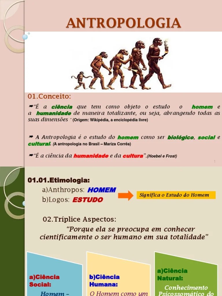 INTRODUÇÃO A ANTROPOLOGIA Antropologia Humano