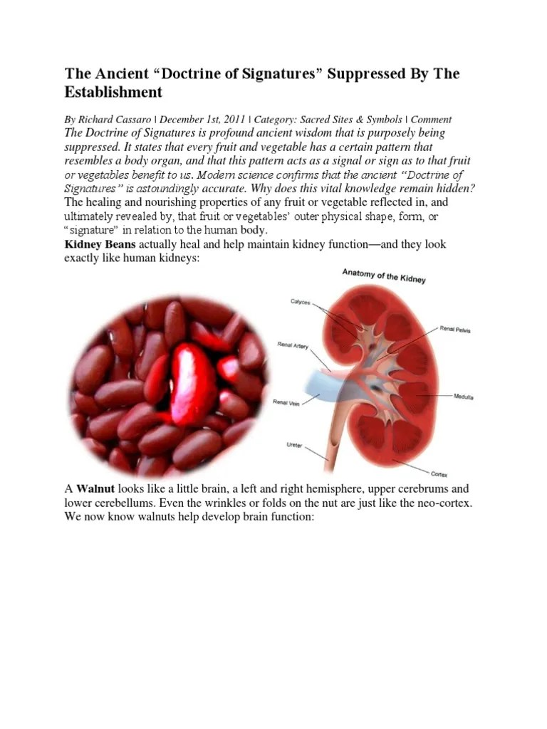The Ancient “Doctrine of Signatures” Suppressed By The Establishment