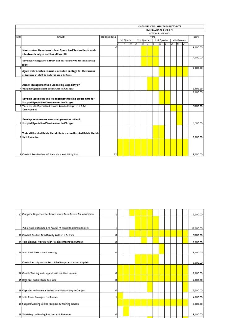 action plan template Hospital Mental Health