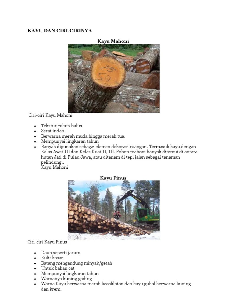 Ciri Ciri Kayu | PDF