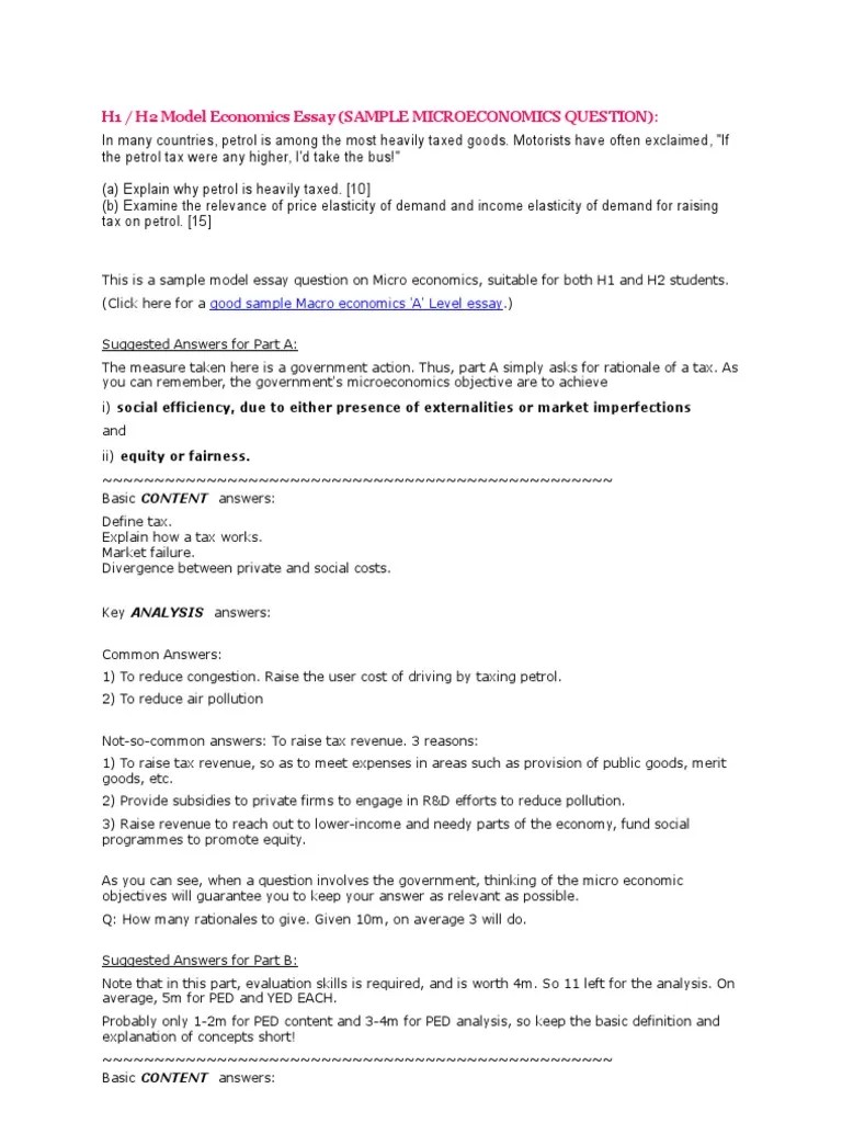 Model Economics Essay Microeconomics Economics