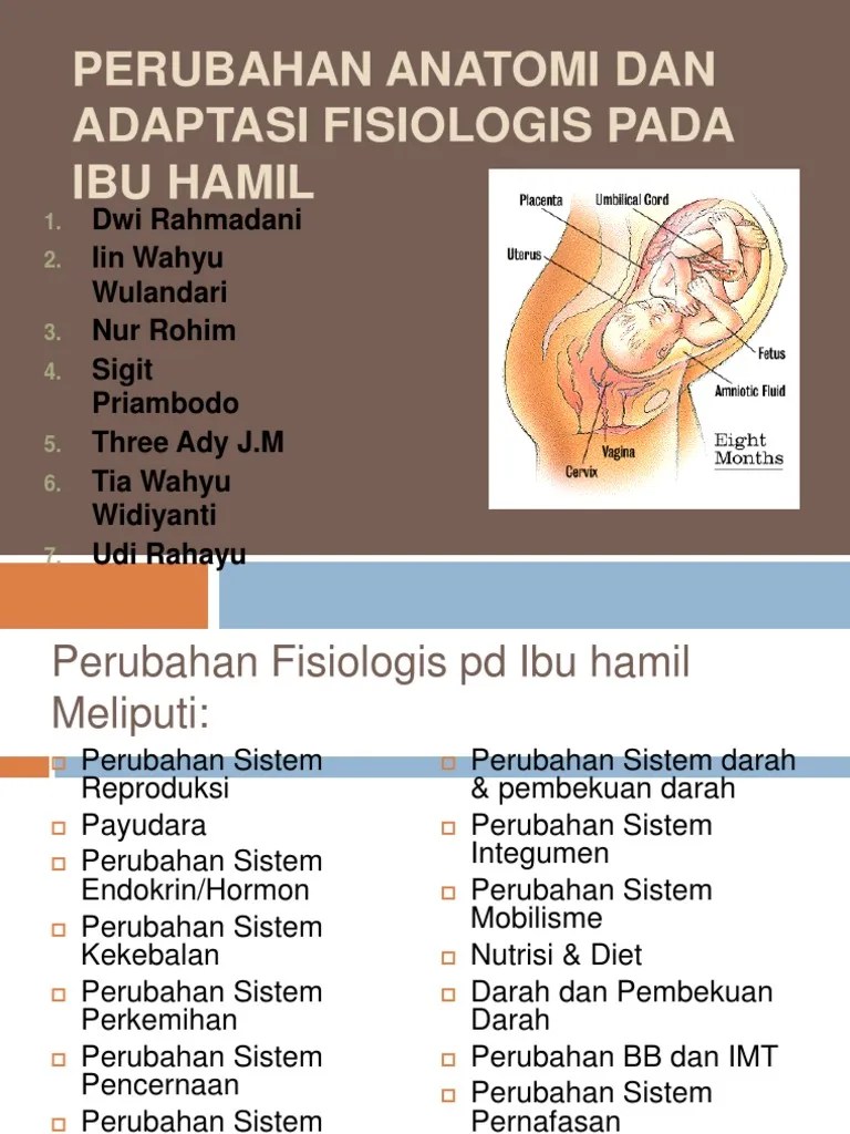 Perubahan Anatomi Dan Adaptasi Fisiologis Pada Ibu Hamil