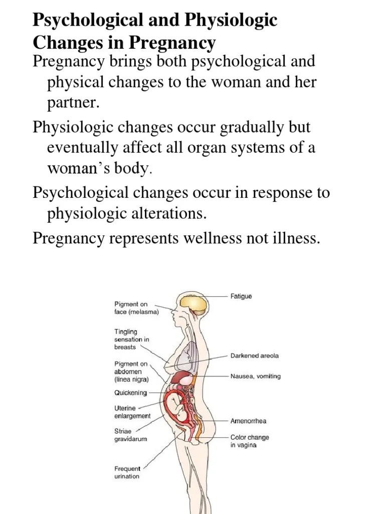 List Of Physiological Changes In Pregnancy Ideas
