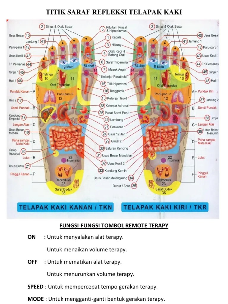 Titik Saraf Refleksi Telapak Kaki | PDF