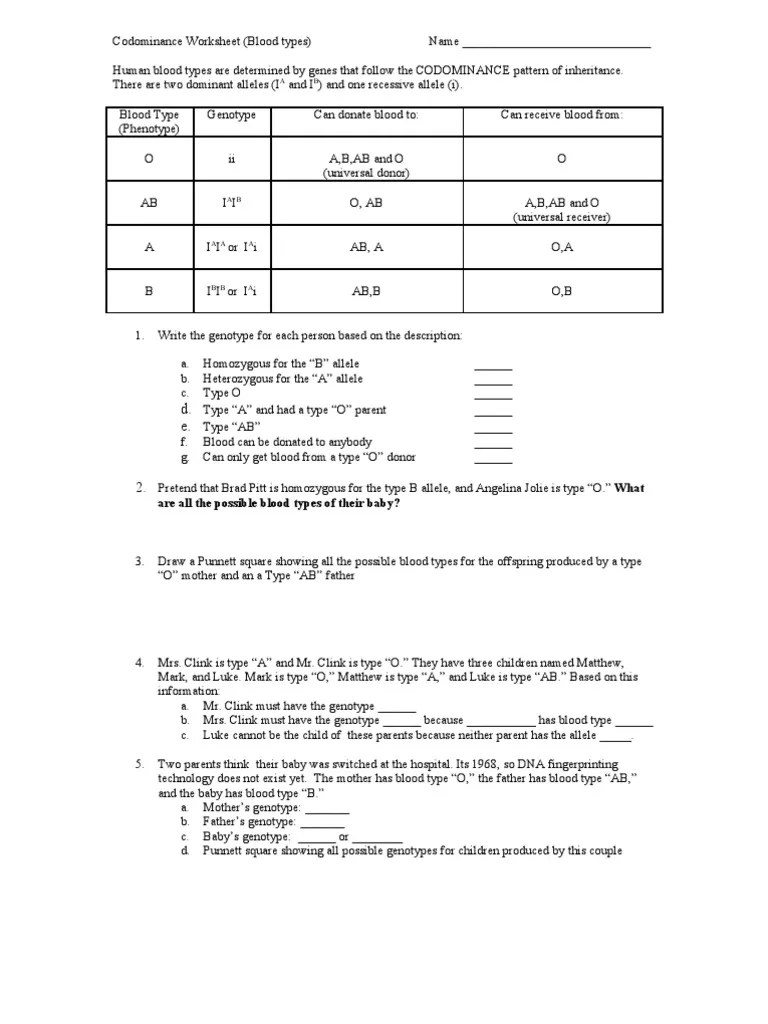 ABO Blood Type Worksheet Genotype Allele