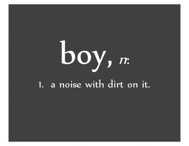 Boy Definition PDF
