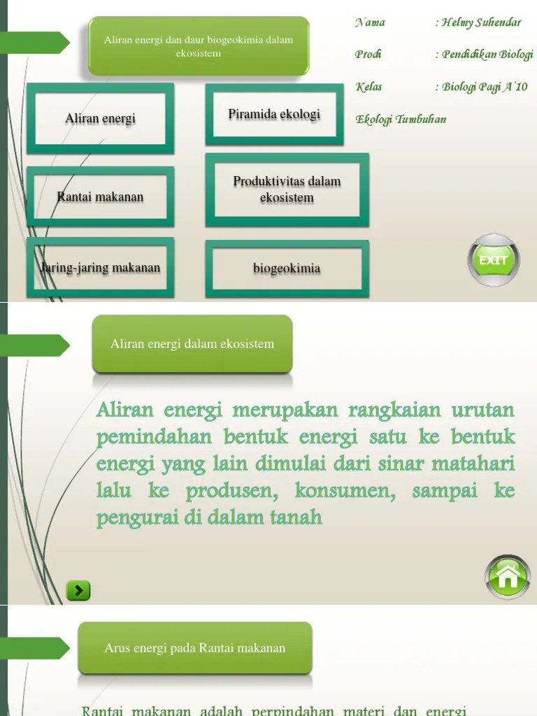 Aliran Energi Dan Daur Biogeokimia – Nasi