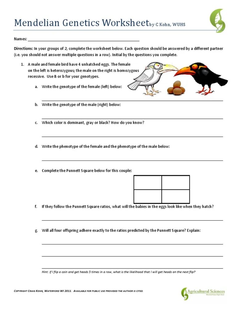 Mendelian Genetics Worksheet