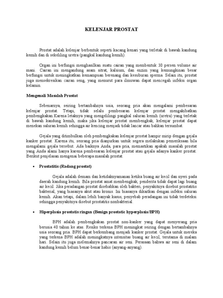 Kelenjar Prostat | PDF