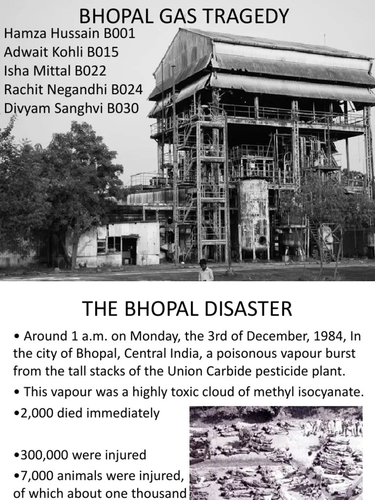 Bhopal Gas Tragedy Nature Wellness