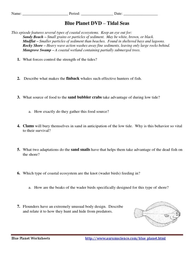 Blue Frozen Seas Worksheet Answers Worksheet List