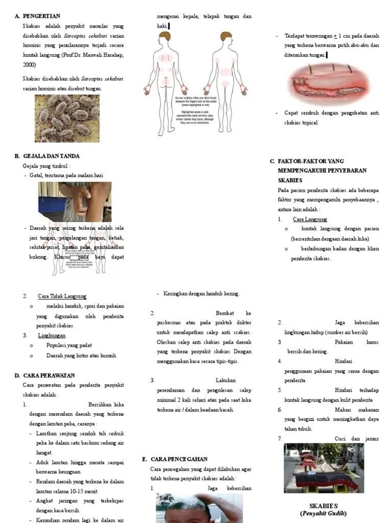 Leaflet Scabies | PDF