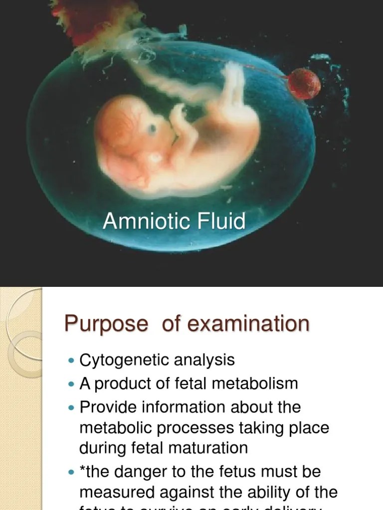 Amniotic Fluid PDF Fetus Lung