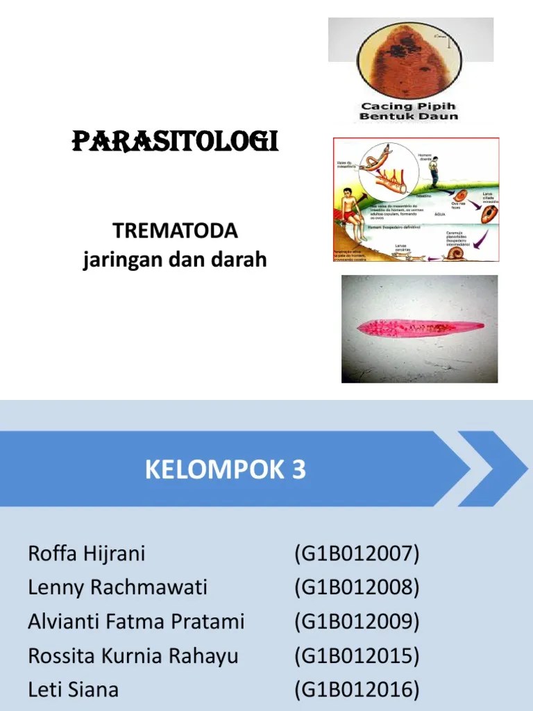 Gambar Mentahan Darah kata2 status wa