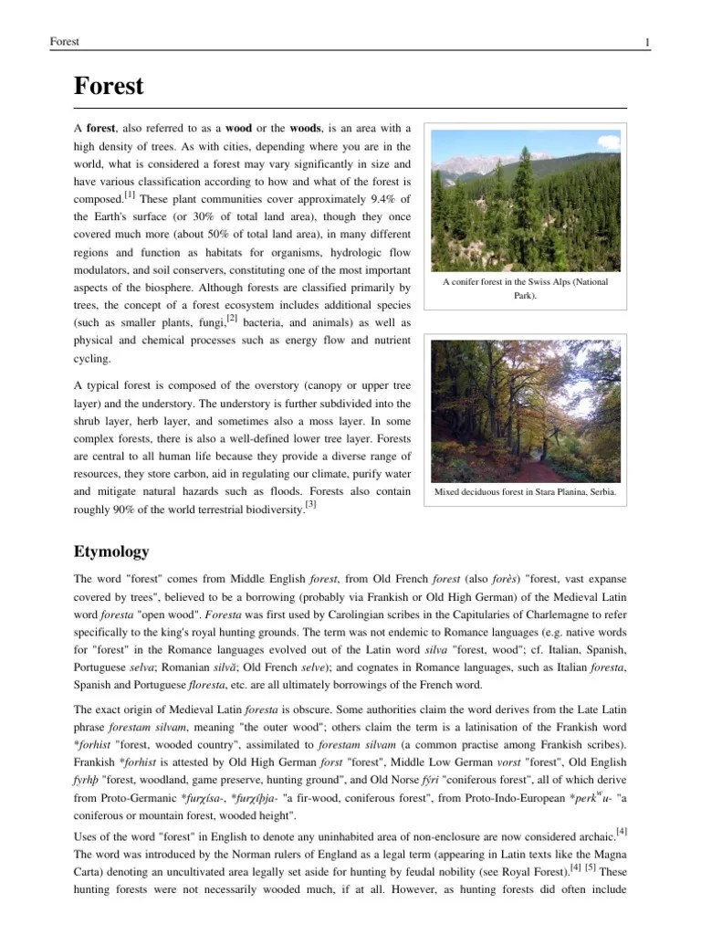 Forest Etymology PDF Biogeography Ecoregions