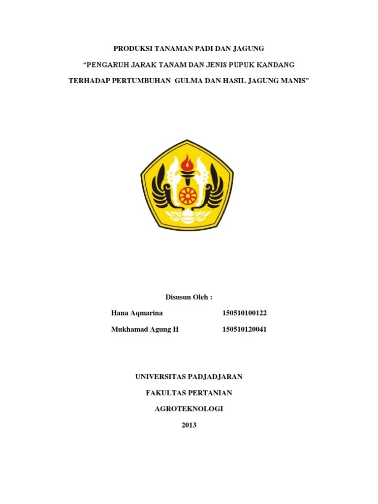 Pengaruh Pupuk Kompos Terhadap Pertumbuhan Tanaman Jagung Berbagi Tanam