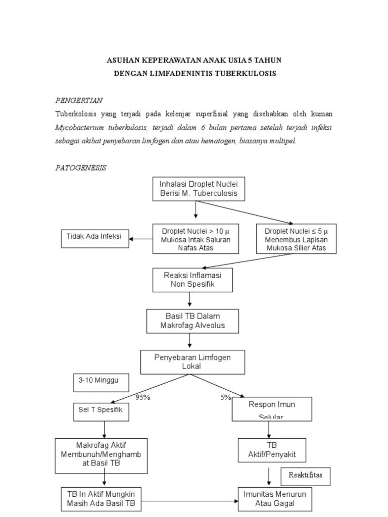 ASKEP Anak Dengan Tb Paru (TBC)