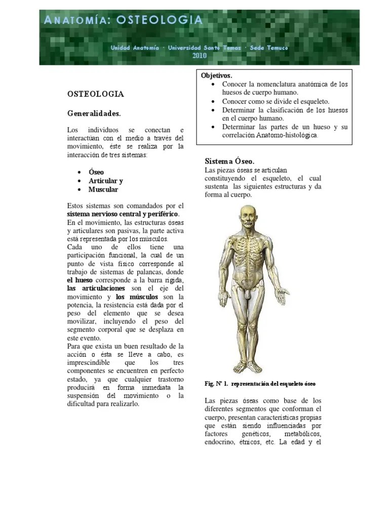 Guia de Osteolog A Hueso Mano