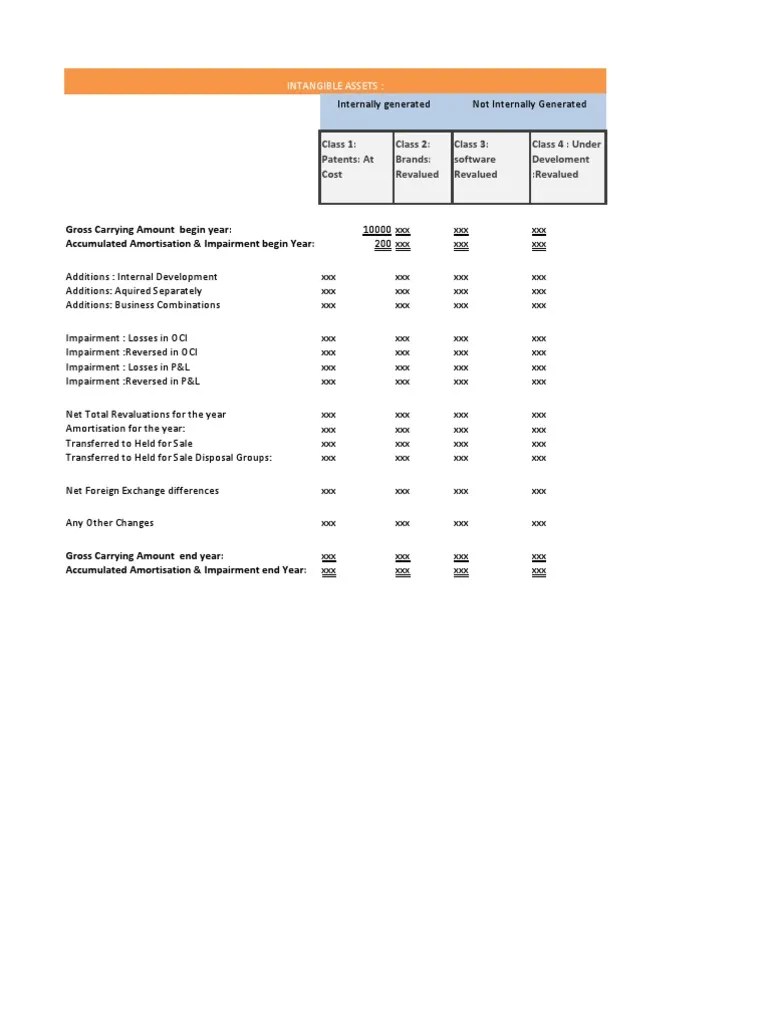 intangible assets example notes .xlsx