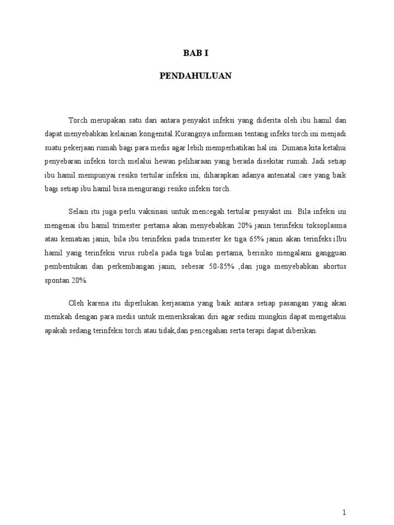 Infeksi TORCH Pada Kehamilan