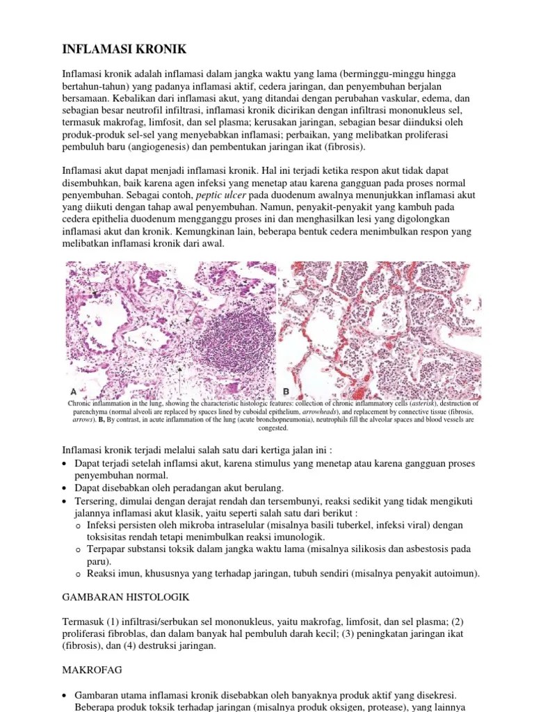 Proliferasi Fibroblas Adalah