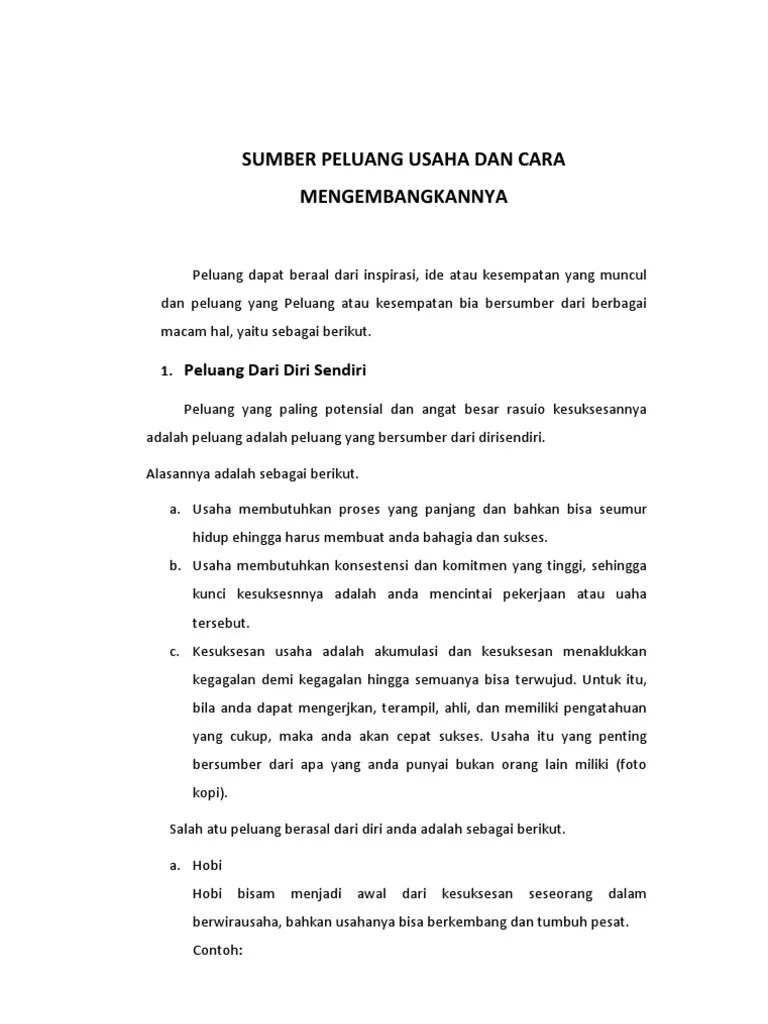 Sumber Peluang Usaha Dan Cara Mengembangkannya | PDF