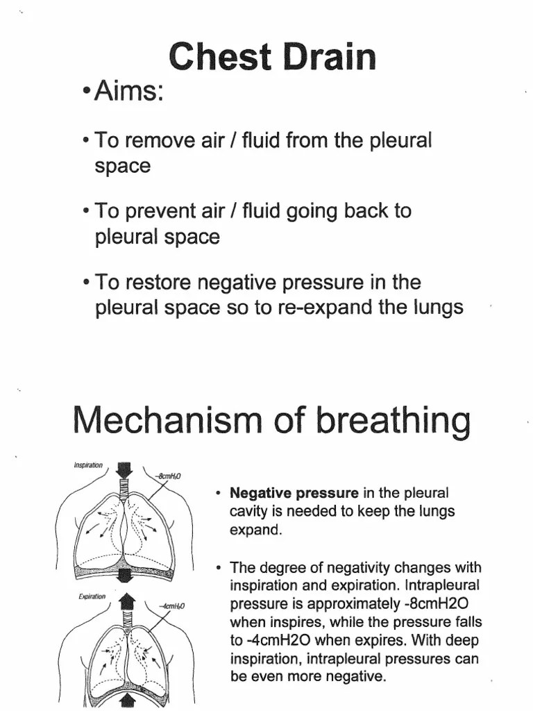 Chest Drain Thorax (Human Anatomy) Respiratory System