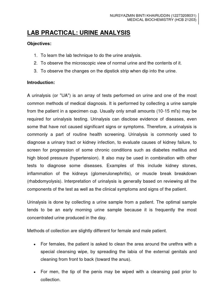 Urine Analysislab Report Biochem 3 Urine Urinary System