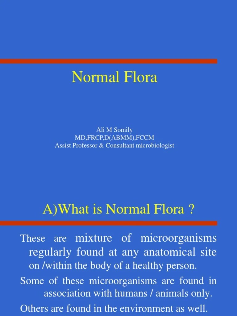 Normal Flora Update Gut Flora Gastrointestinal Tract