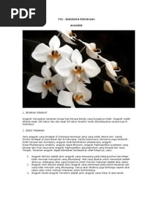Budidaya Tanaman Anggrek | PDF